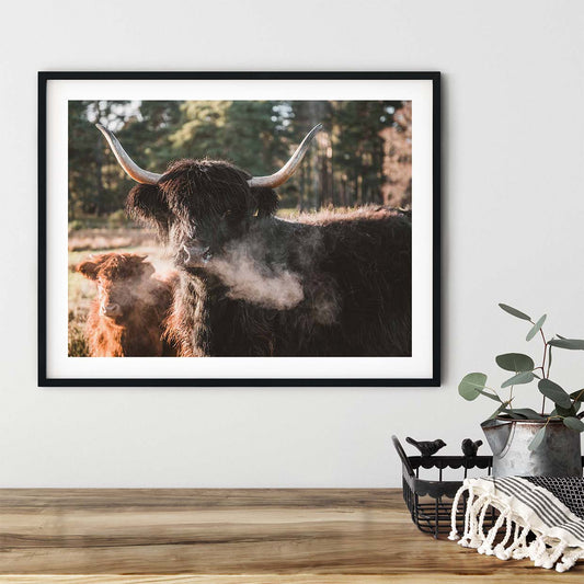 Highland coo Angry mommy print