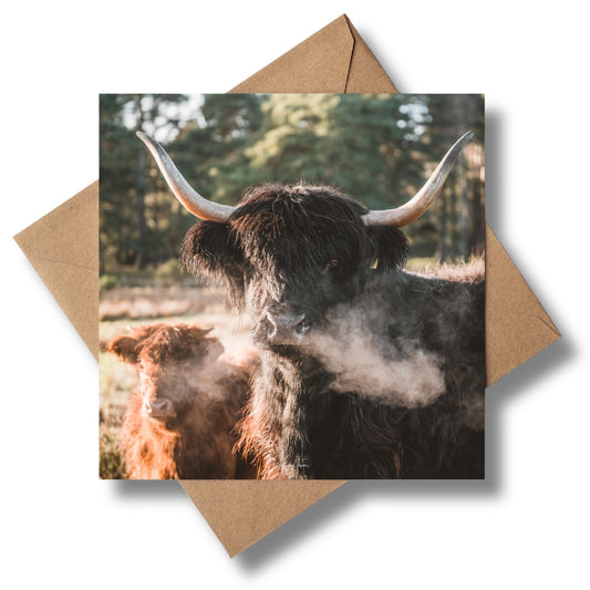 Mother Coo Greeting card - Kunal Tewari Photography