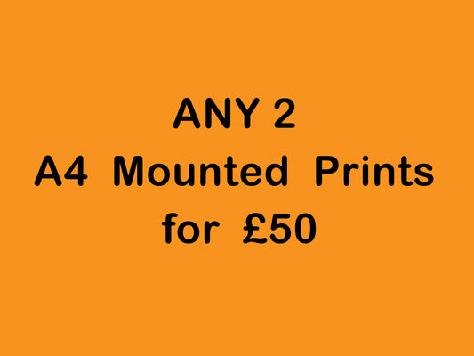 ANY 2 A4 mounted prints for 50 - Kunal Tewari Photography