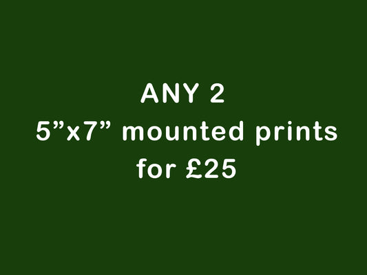 ANY 2  5"x7" mounted prints for 25 - Kunal Tewari Photography