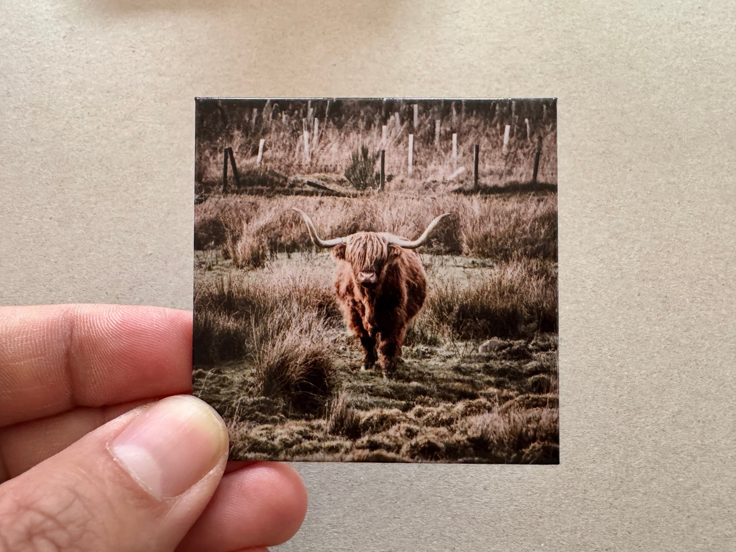 Untitled Mar14_16:29 Kunal Tewari Photography