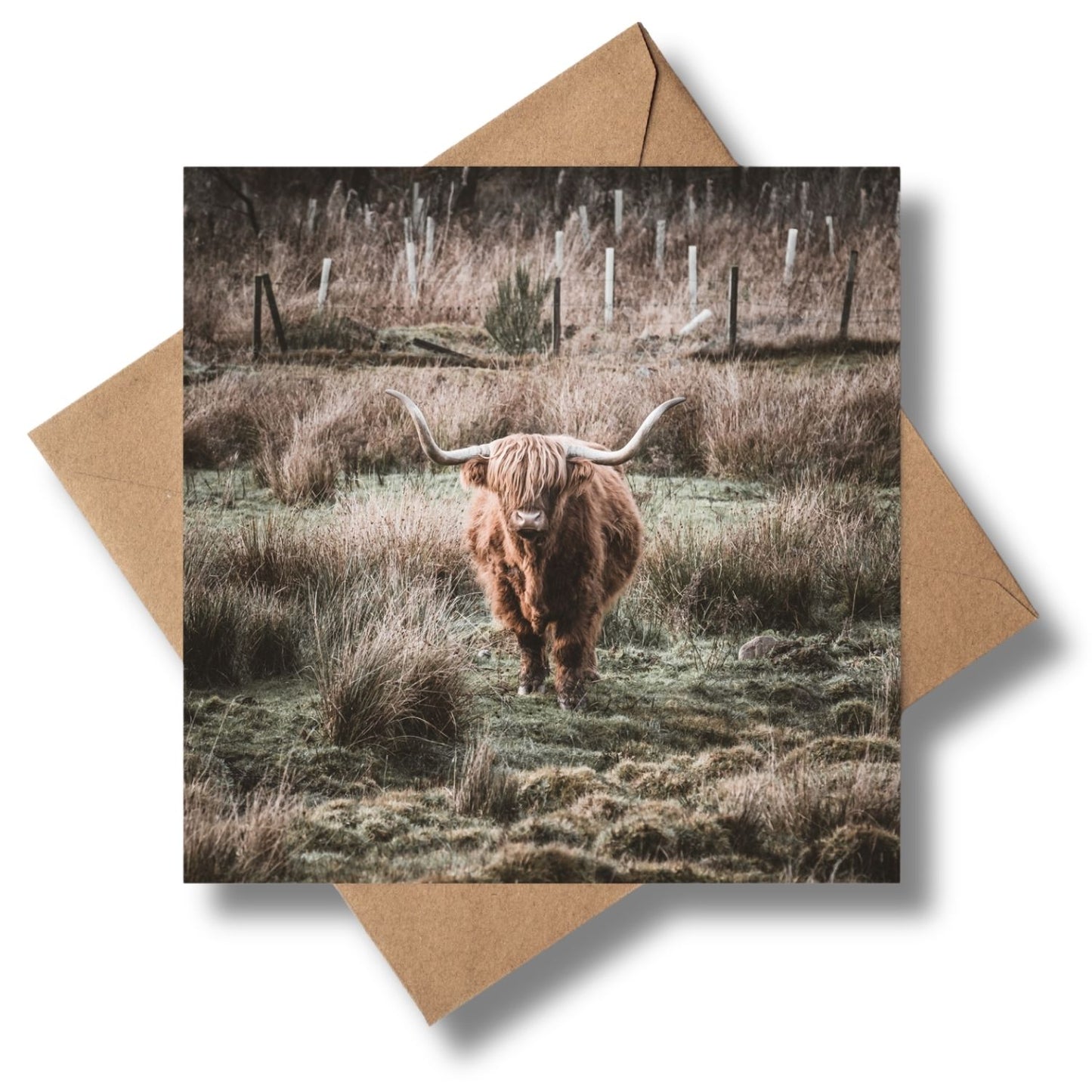 Highland Coo Greeting card - Kunal Tewari Photography