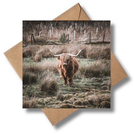 Highland Coo Greeting card - Kunal Tewari Photography
