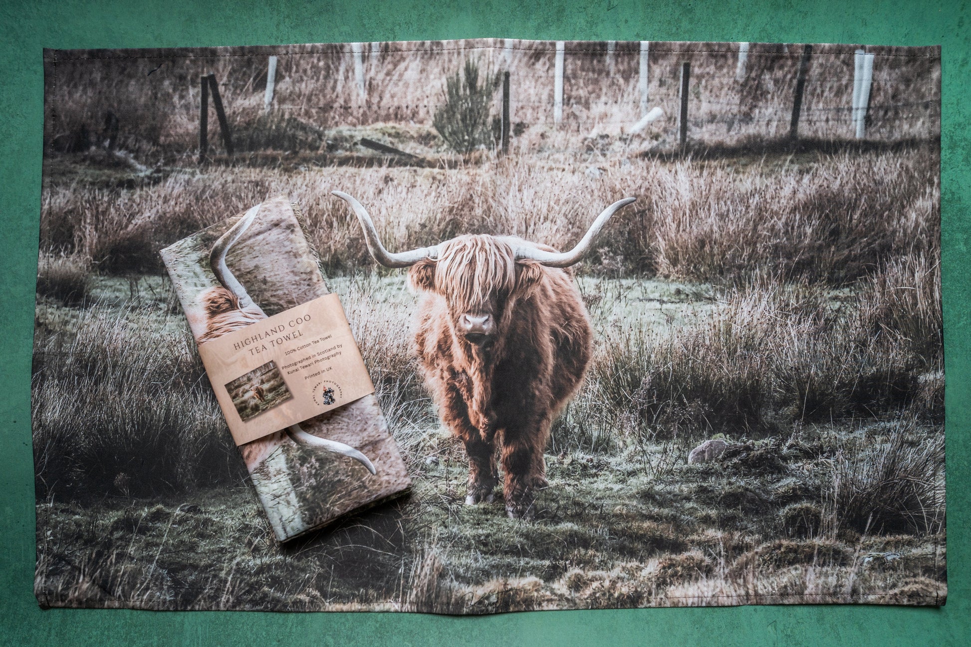 Highland Coo-Scotland Collection Kunal Tewari Photography