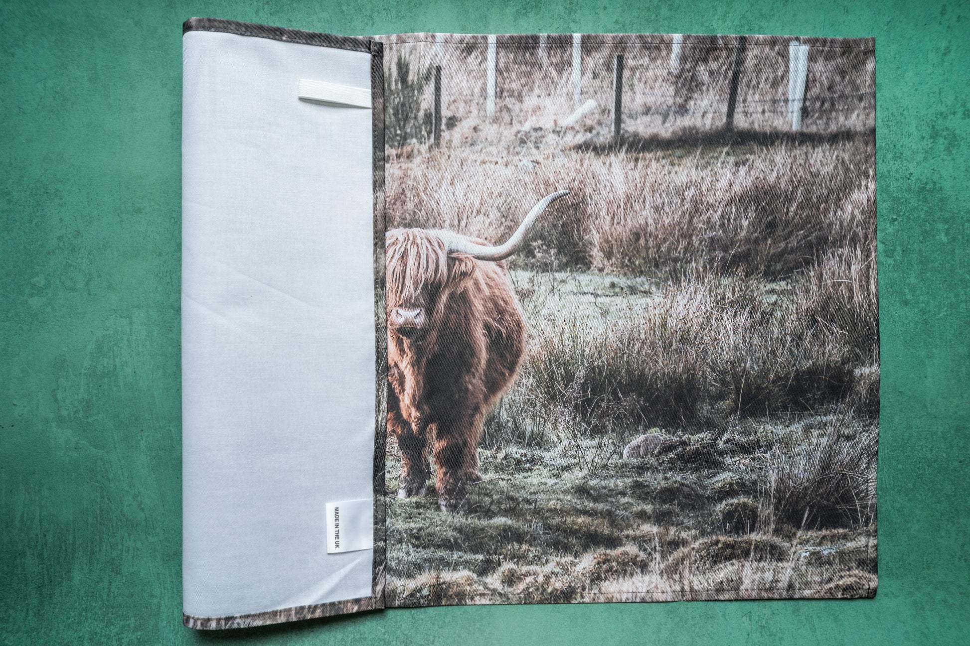 Highland Coo-Scotland Collection Kunal Tewari Photography
