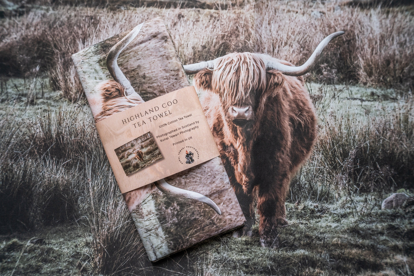 Highland Coo-Scotland Collection Kunal Tewari Photography
