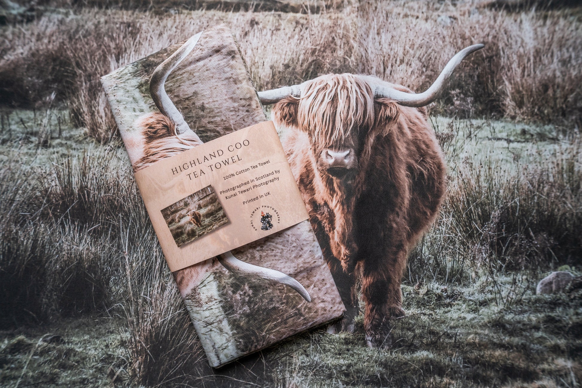 Highland Coo-Scotland Collection Kunal Tewari Photography