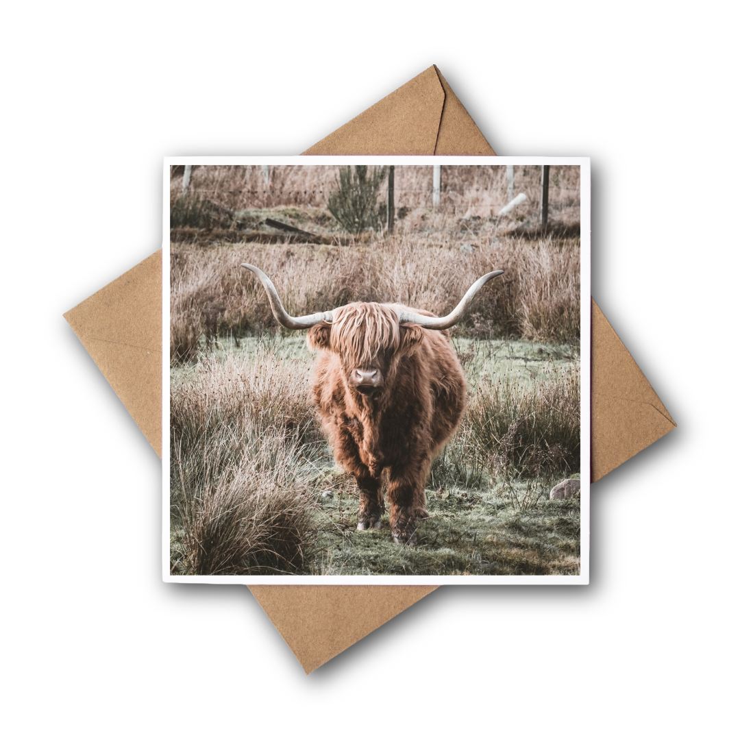 Highland Coo, Scotland Greeting Card – Fine Art Photography | 150 × 150 mm Kunal Tewari Photography