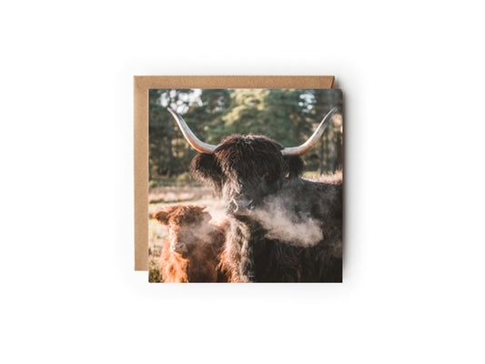 Mother Coo Greeting card