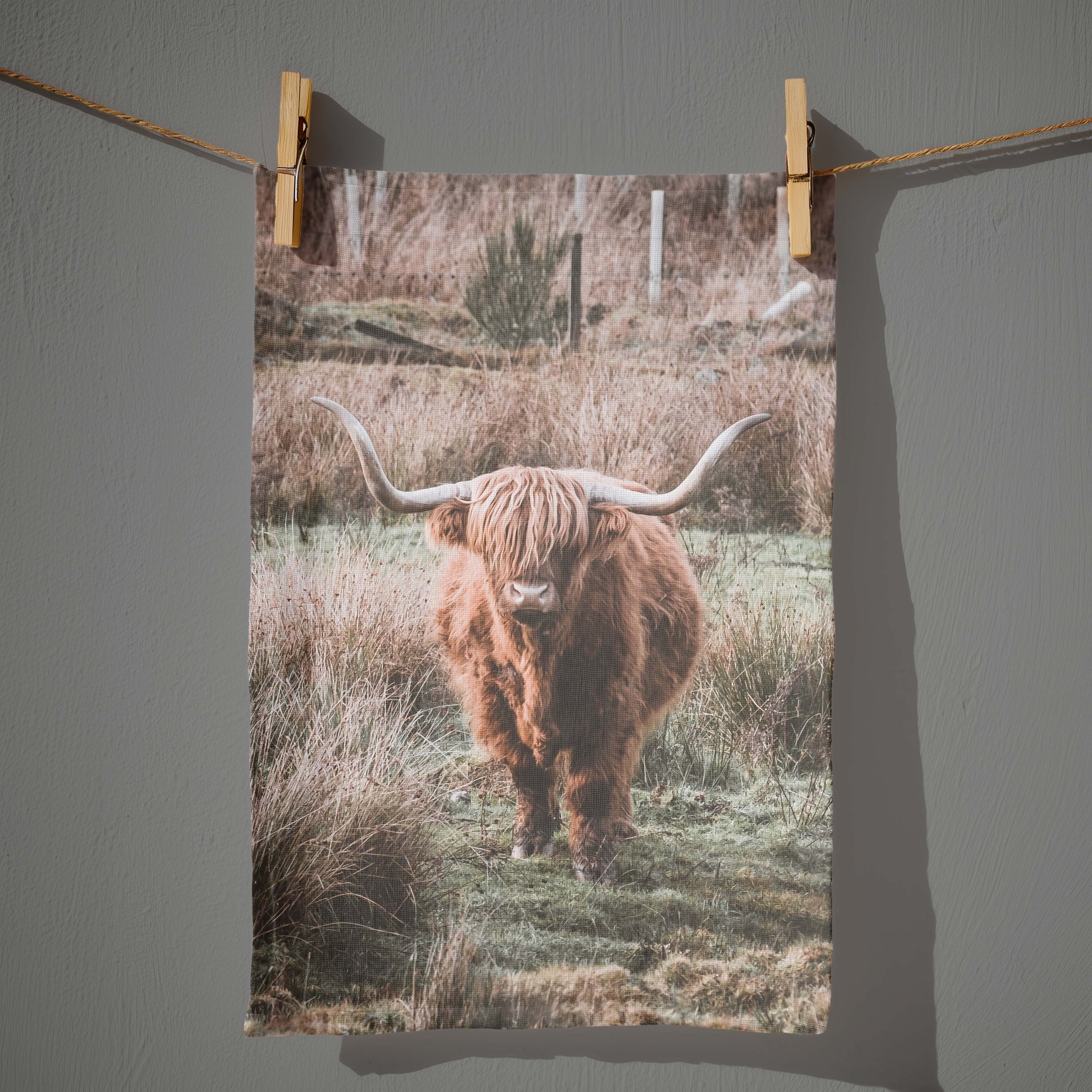 Highland Coo-Scotland Tea Towel Kunal Tewari Photography