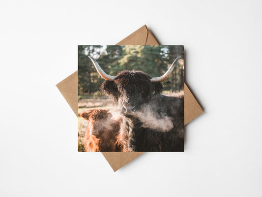 Mother Coo Greeting card