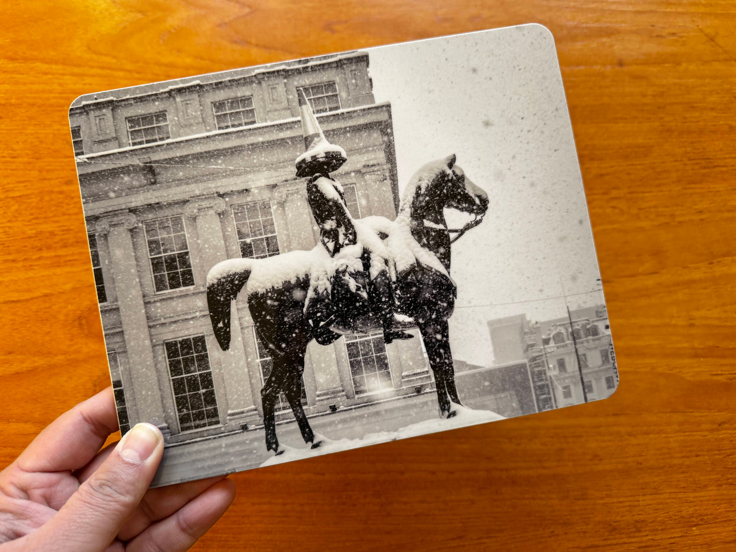 Frozen Duke Melamine Placemat with Cork backing