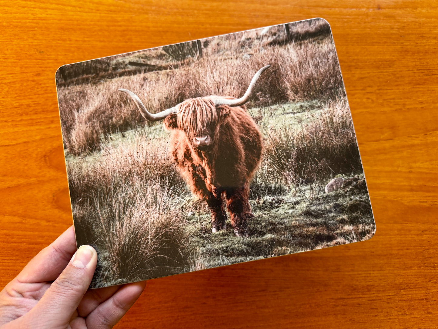 Highland Coo Melamine Placemat with Cork backing