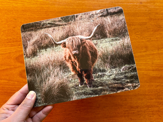 Highland Coo Melamine Placemat with Cork backing
