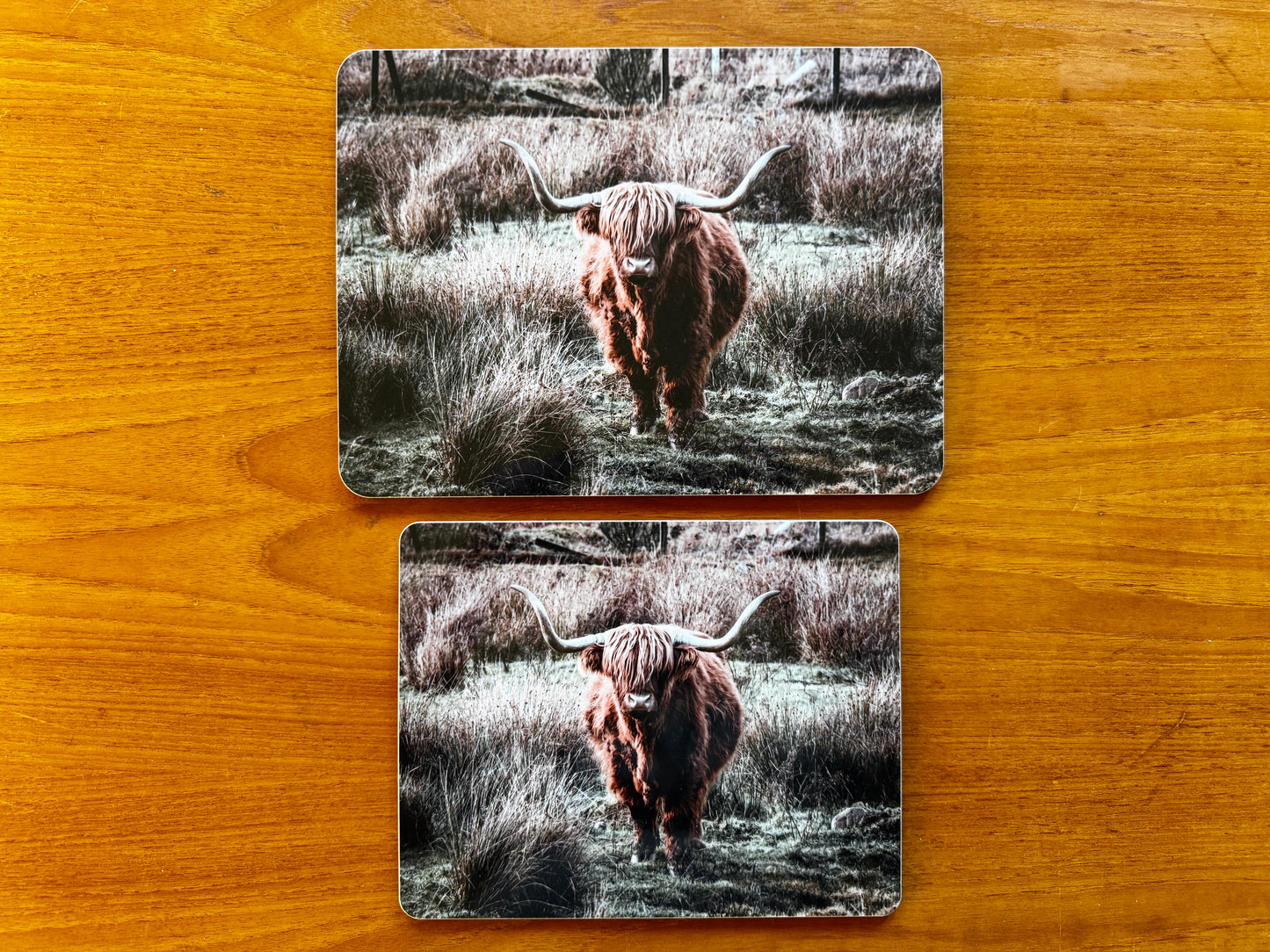 Highland Coo Melamine Placemat with Cork backing
