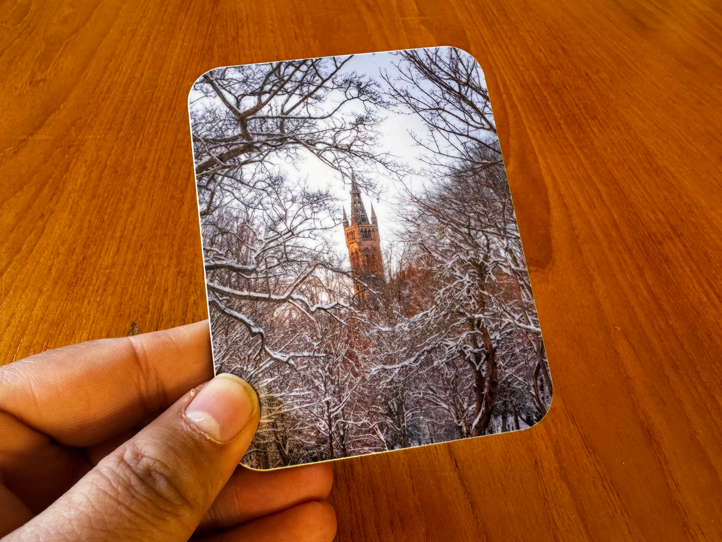Scotland Coasters with Cork Backing