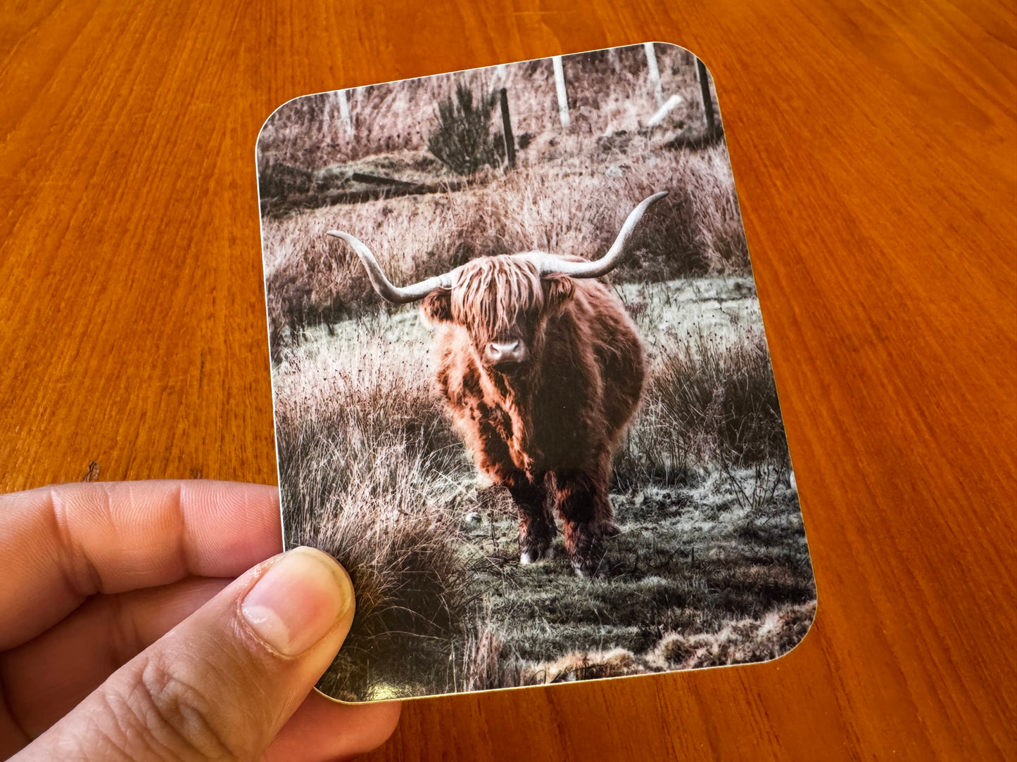 Scotland Coasters with Cork Backing