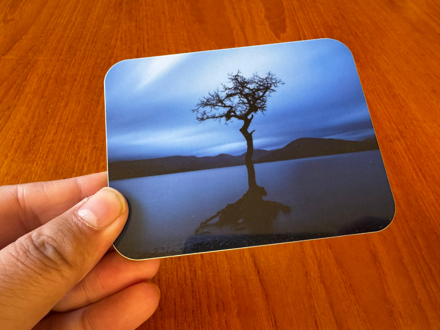 Scotland Coasters with Cork Backing