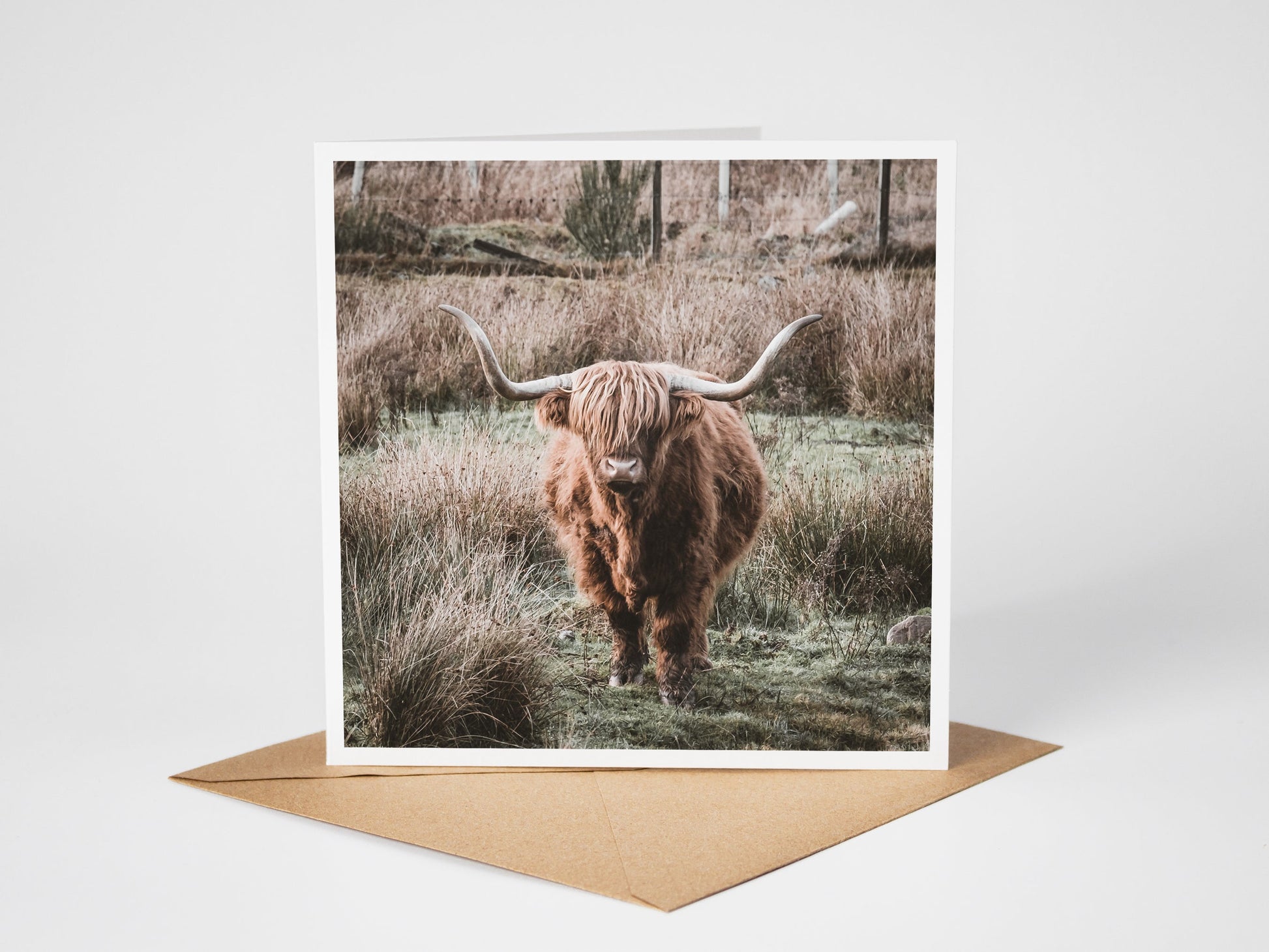 Highland Coo, Scotland Greeting Card – Fine Art Photography | 150 × 150 mm Kunal Tewari Photography