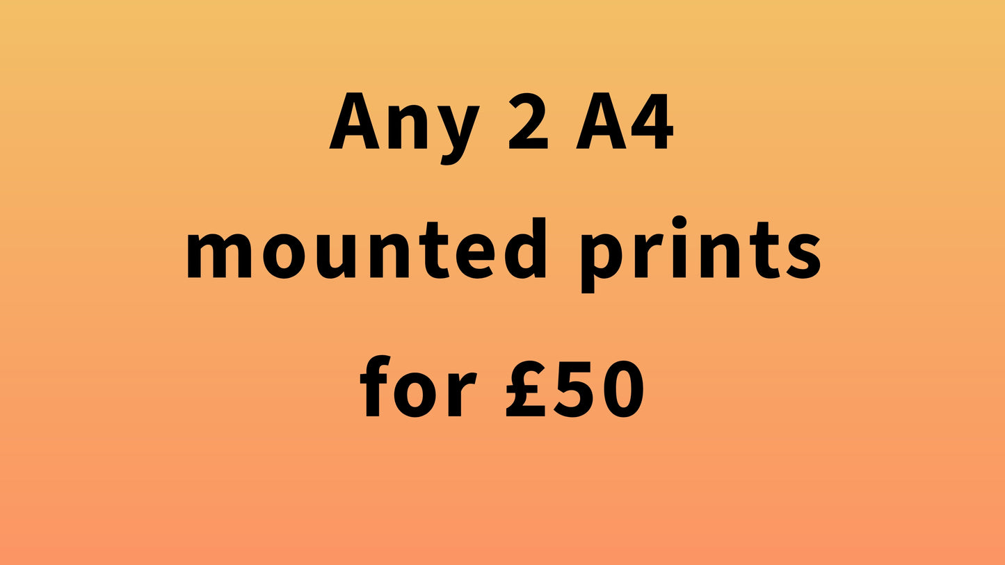 Any 2 A4 Mounted Prints for £50 | Glasgow & Scottish Highlands Photography Kunal Tewari Photography